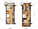 碧桂园潼湖科学城_2室2厅1卫 建面42平米