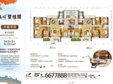 河源龙川碧桂园_5室2厅3卫 建面231平米
