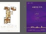 龙湖卓越紫宸_4室2厅2卫 建面123平米