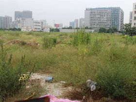 运河一号