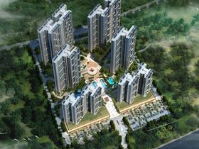 山林君悦