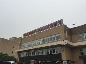 新湖国际