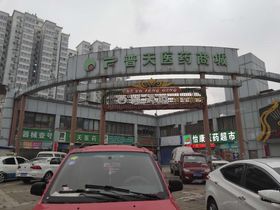 和平春天