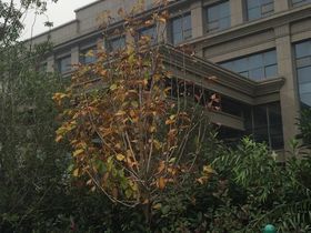 华方科创中心