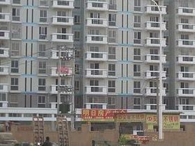 龙欣杰座