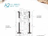 华润小径湾_A2户型 建面53平米