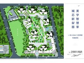 实地蔷薇熙岸