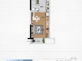 碧桂园漓湘悦_1室1厅1卫 建面33平米